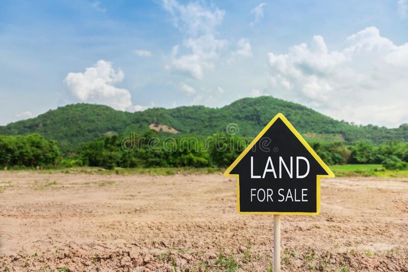 VAST AND SPACIOUS COMMERCIAL LAND FOR SALE AT WAYANAD
