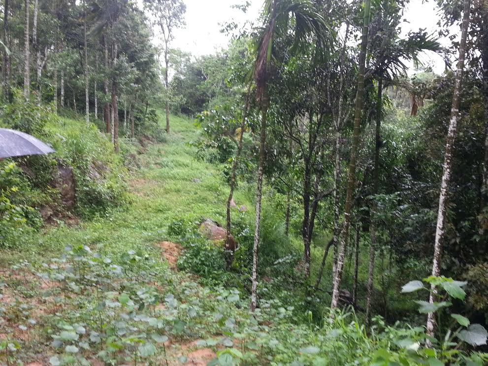 1.5 acre beautiful land for sale suitable for resort 